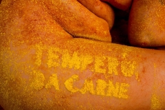 Tempero-da-Carne-Julio-Le╞o-1