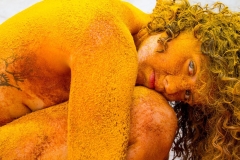 Tempero-da-Carne-Julio-Le╞o-4